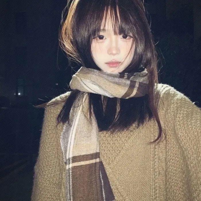 假面女仆