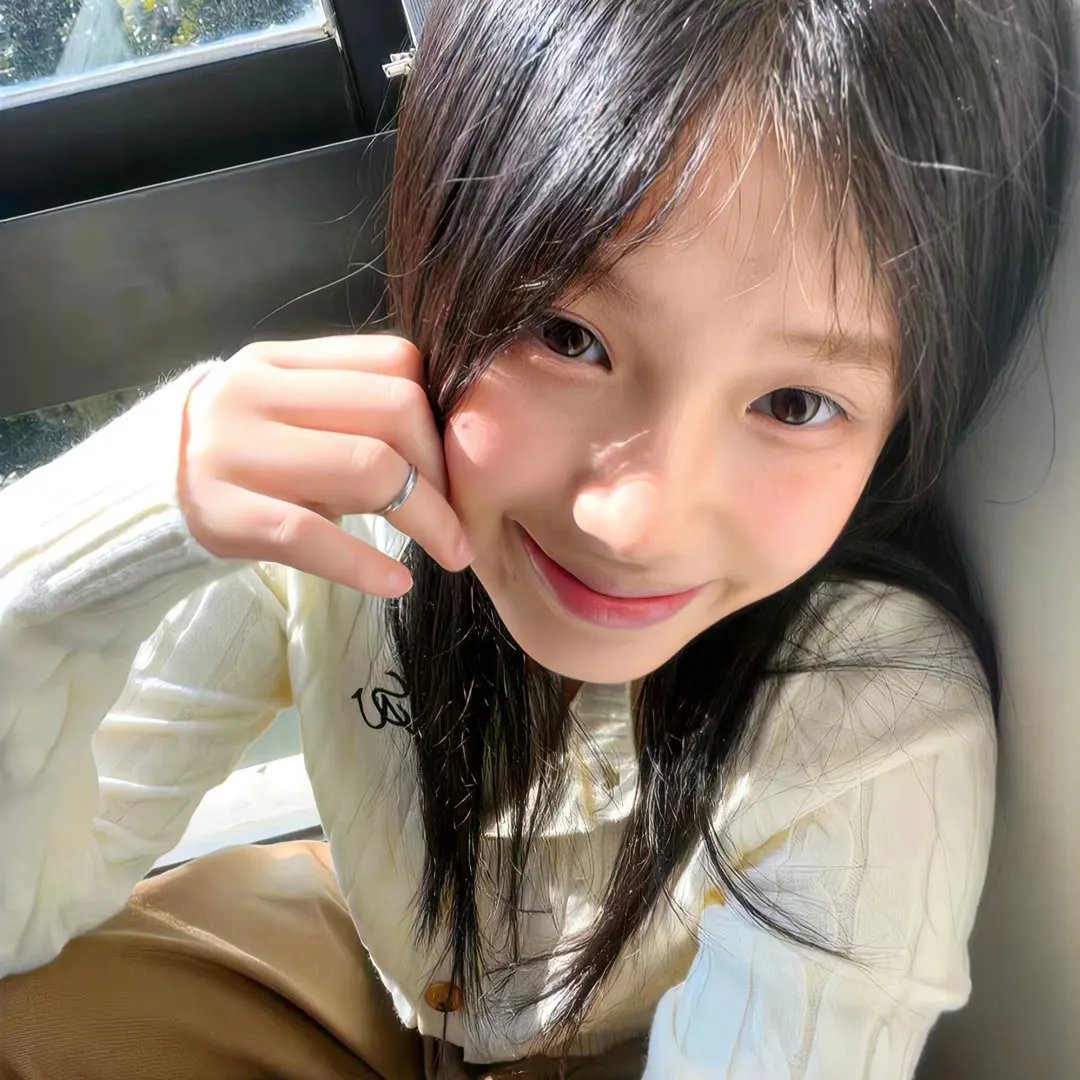 探险活宝第八季